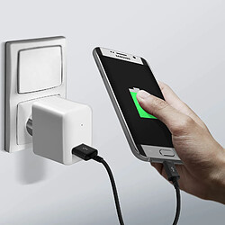 Avis Câble USB vers Micro-USB Charge et Synchro 1m APCBU10BBE Original Samsung Noir