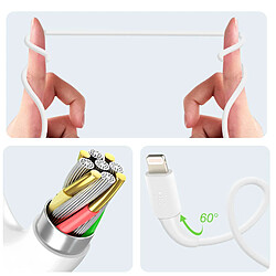 Avis Belkin Câble USB vers iPhone iPad Lightning MFI Charge Synchronisation 3m Blanc