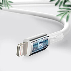Belkin Câble USB vers iPhone iPad Lightning MFI Charge Synchronisation 3m Blanc pas cher