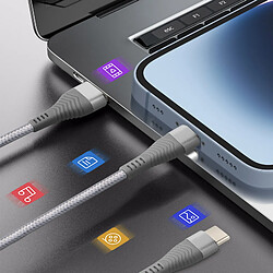 Avis LinQ Câble 3 en 1 USB-C/Lightning - 70 cm