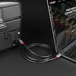 Lindy 36941 Câble USB - Noir pas cher