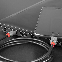 Avis Lindy USB 2.0 Type C/Micro-B