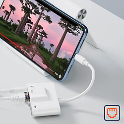 Acheter Avizar Adaptateur USB-C vers Ethernet Blanc
