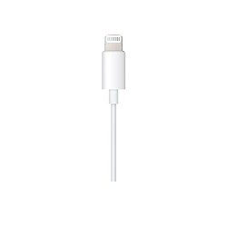 Acheter Apple Câble Lightning vers Jack 3,5 mm 1,2m Blanc