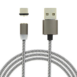 Avizar Câble Magnétique USB-C - 1m, Argent