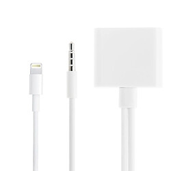 Wewoo Adaptateur Lightning vers 30 Broches