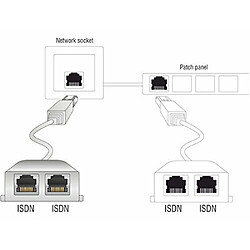 DeLOCK RJ45 Port Doubler