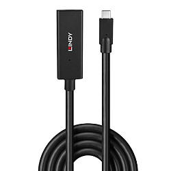 Lindy 43364 Câble USB-C - 5 m