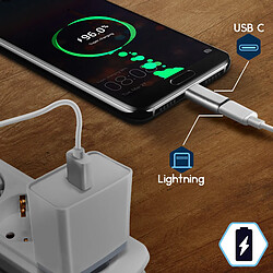 Avizar USB-C vers Lightning - Argenté pas cher