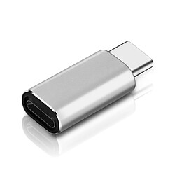 Avizar USB-C vers Lightning - Argenté