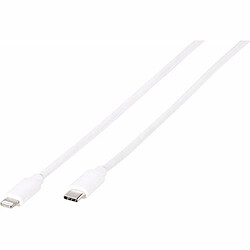 Vivanco LIGHTNVVUSBC12W 1,2 m Blanc
