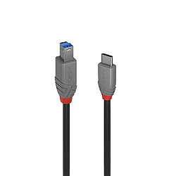Lindy Câble USB C/B 2m - Noir