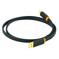 NEO by Oyaide Class A USB 2m Câble USB - Conducteur en PCOCC - 2 m - Connexion haute qualité pour audiophiles