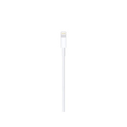 Apple USB Lightning to USB 1m