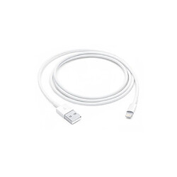Apple USB Lightning to USB 1m