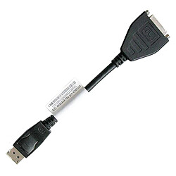 Lenovo Câble DVI-D DisplayPort - 18cm - Noir - Occasion