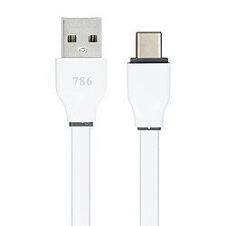 Avizar Câble USB vers USB Type C 3m - Blanc