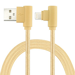 Câble iPhone Wewoo Nylon 25 cm - Argent Câble de charge en nylon - Câble court pour iPhone/iPad - Longueur 25 cm - Connecteurs USB et 8-pin