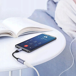Acheter GUPBOO Câble Adaptateur Audio USB-C