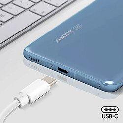 Acheter Avizar Câble USB vers USB Type C 3m - Blanc