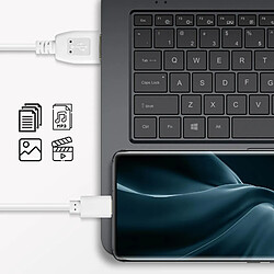 Avizar Câble USB vers USB Type C 3m - Blanc pas cher