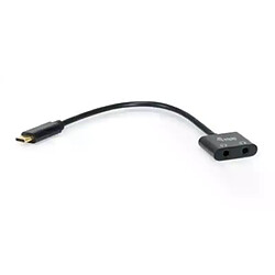 Adaptateur USB-C vers 2x 3.5mm - Noir