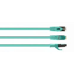 Gembird Câble Réseau Ethernet FTP Cat.6 - Vert 0,5 m