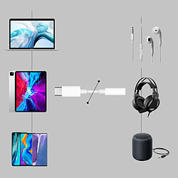 Avis Avizar Adaptateur Audio USB-C vers Jack 3.5mm Blanc