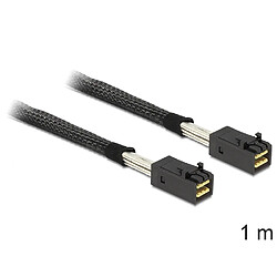 Delock Mini SAS HD 1m Câble Mini SAS HD x 4 - Connecteurs SFF 8643 - Longueur 1 m