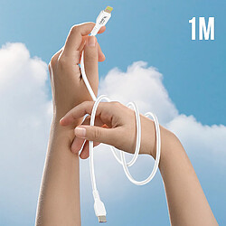 LinQ Câble USB-C Lightning 1m pas cher