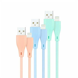 Nanocable Lightning USB 1m Multicolore
