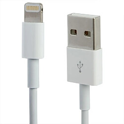 Câble iPhone Lightning - Wewoo 2m Câble Lightning vers USB - Charge/Synchro - Longueur 2 m