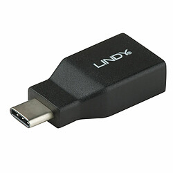 Lindy Adaptateur USB 3.2 Type C vers A Adaptateur USB-C vers USB-A - SuperSpeed 10 Gbit/s - Compact