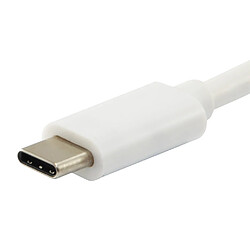 Avis Câble USB 3.2 Type-C 1m Blanc