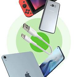 Avis Belkin Câble USB vers USB-C 18W Nylon Tressé 15cm Charge et Synchro Blanc