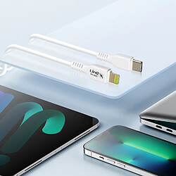 Acheter LinQ Câble USB-C Lightning 1m