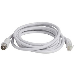 CAE Groupe Cordon Balun TV IEC/RJ45 25cm