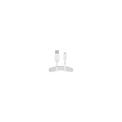 Avis Belkin USB A - Lightning - 1 m - Blanc