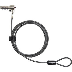 Câble antenne HP