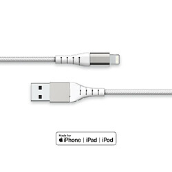 Câble antenne Bigben