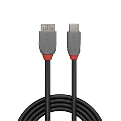 Lindy USB C Cable 0.5m
