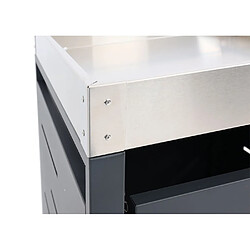 Mendler cache-poubelle 120L