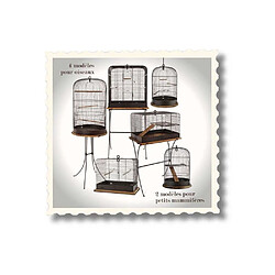 Zolux Cage Rétro Madeleine pour Oiseaux