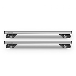 Menabo Rails de Toit Jackson Silver