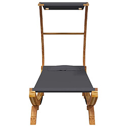 Avis vidaXL Lit de repos avec auvent - Anthracite
