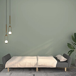 Avis VidaXL Canapé-lit 2 places - Gris Clair
