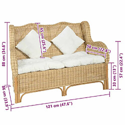 vidaXL Canapé 2 Places Rotin pas cher