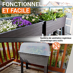 Habitat Et Jardin Kit de 3 carrés potagers Urban sur pieds avec serre - 75 x 37 x 65 cm pas cher