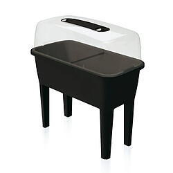 Huerto Urbano con invernadero