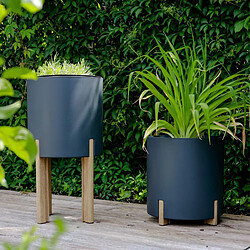 Matériel de culture